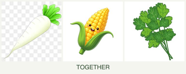 Can you plant radishes, corn and cilantro together?