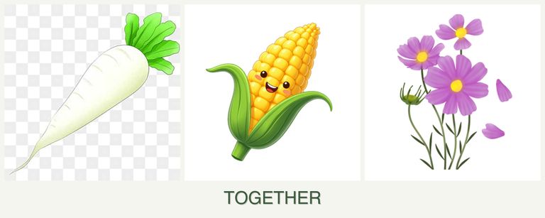 Can you plant radishes, corn and cosmos together?