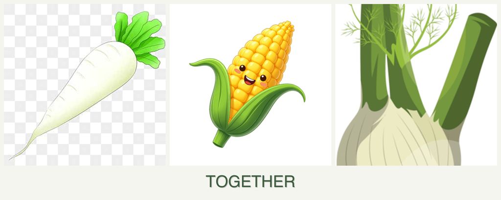 Can you plant radishes, corn and fennel together?