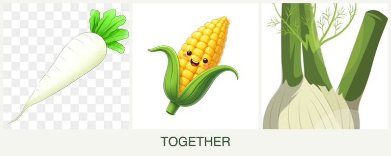 Can you plant radishes, corn and fennel together?