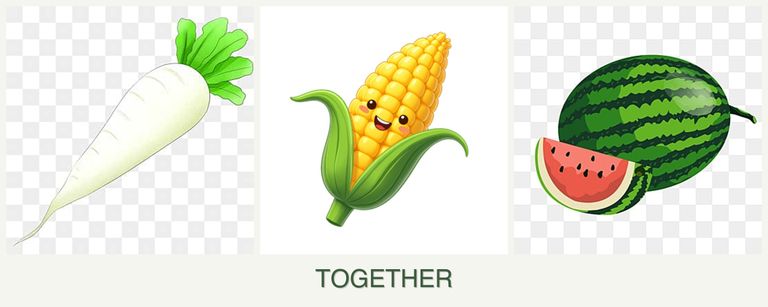 Can you plant radishes, corn and melons together?