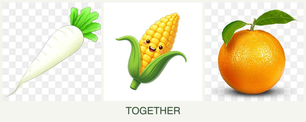 Can you plant radishes, corn and oranges together?