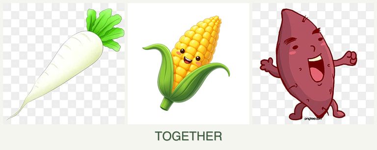 Can you plant radishes, corn and sweet potatoes together?