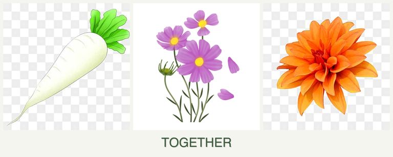 Can you plant radishes, cosmos and dahlias together?