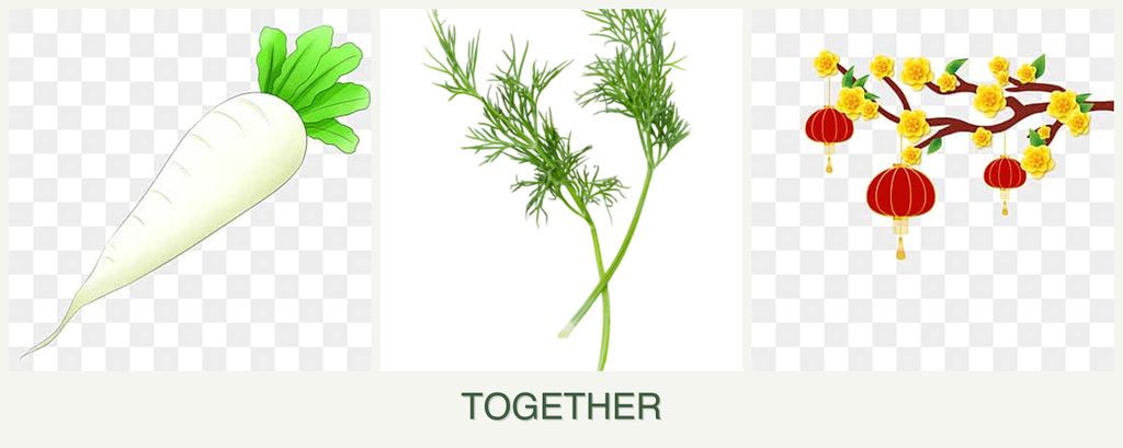 Can you plant radishes, dill and apricots together?