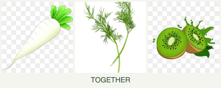 Can you plant radishes, dill and kiwi together?