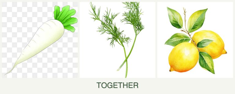 Can you plant radishes, dill and lemons together?