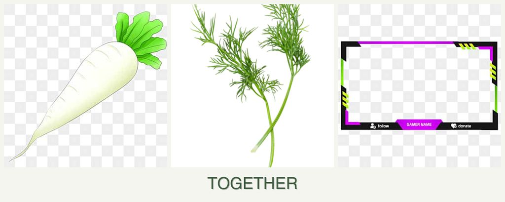Can you plant radishes, dill and limes together?