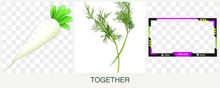 Can you plant radishes, dill and limes together?