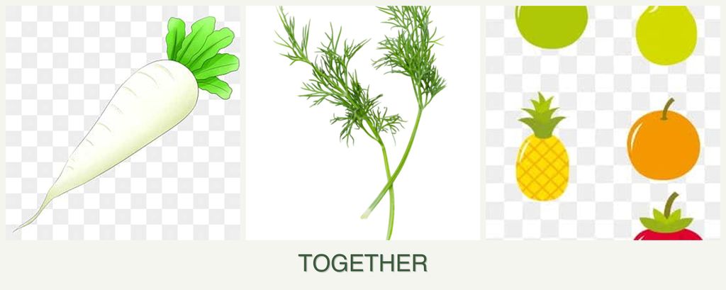 Can you plant radishes, dill and pears together?