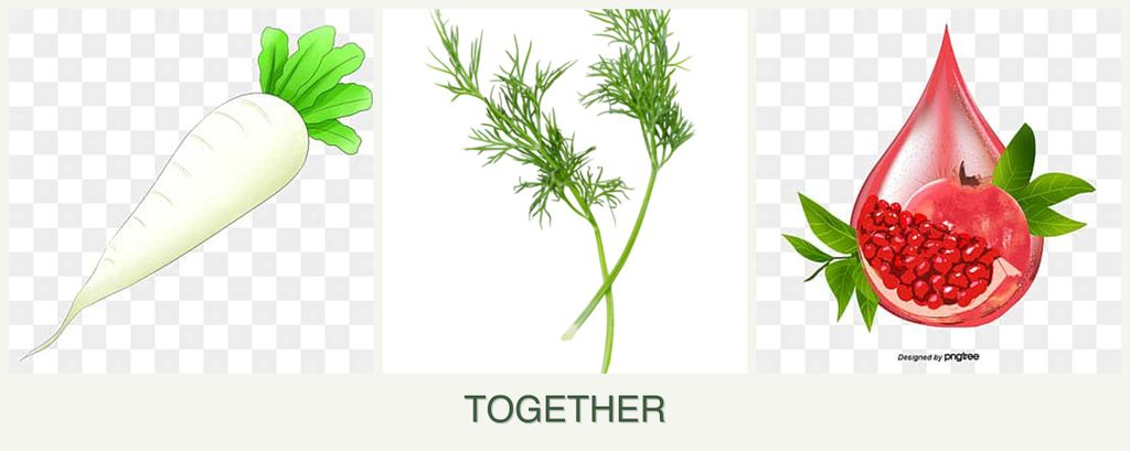 Can you plant radishes, dill and pomegranates together?