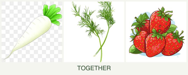 Can you plant radishes, dill and strawberries together?