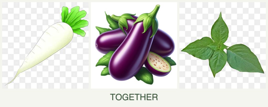 Can you plant radishes, eggplant and basil together?