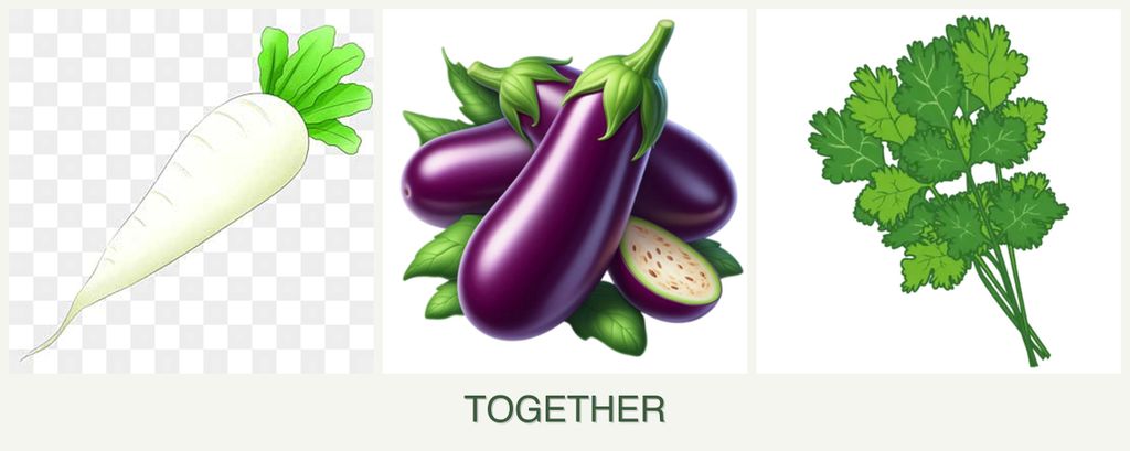 Can you plant radishes, eggplant and cilantro together?