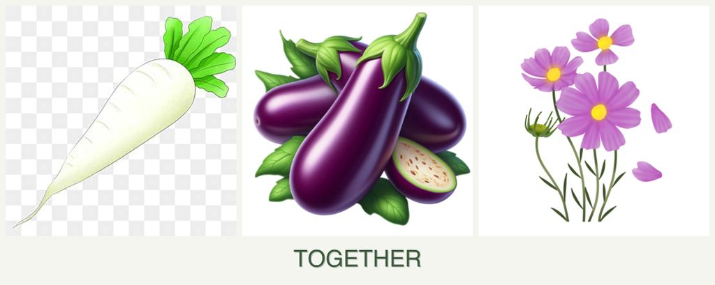 Can you plant radishes, eggplant and cosmos together?