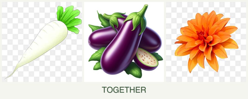 Can you plant radishes, eggplant and dahlias together?