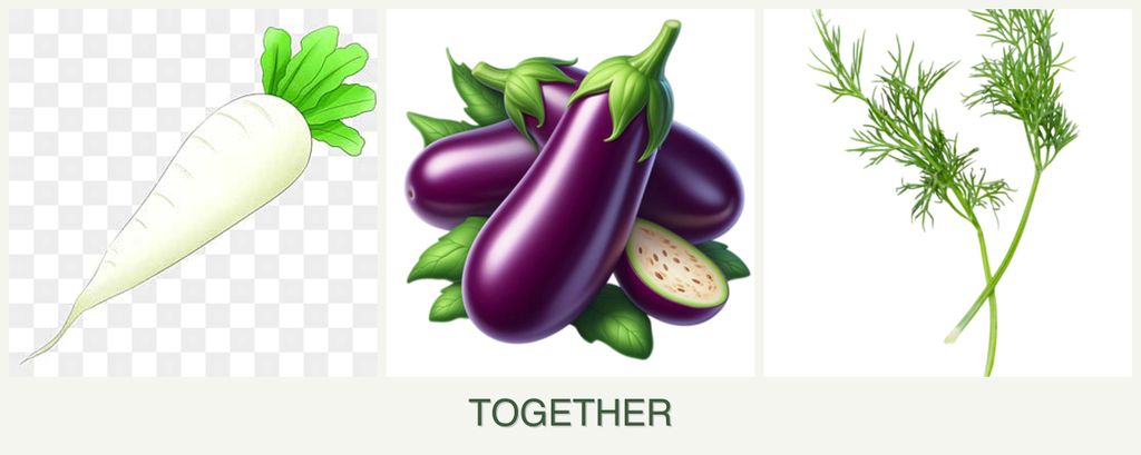 Can you plant radishes, eggplant and dill together?