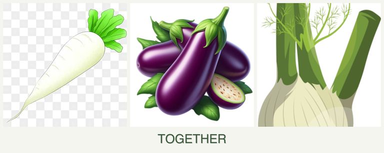 Can you plant radishes, eggplant and fennel together?