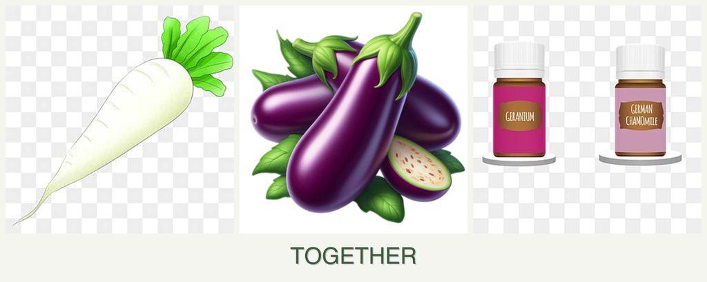 Can you plant radishes, eggplant and geraniums together?