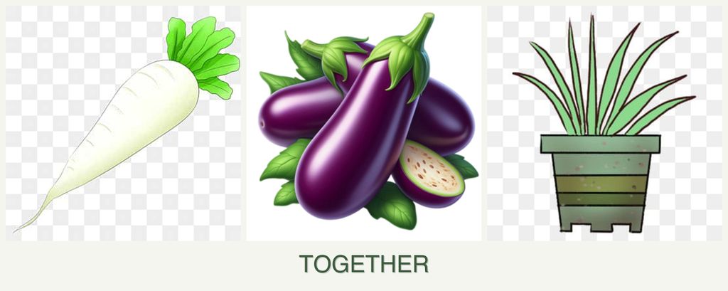 Can you plant radishes, eggplant and lemongrass together?
