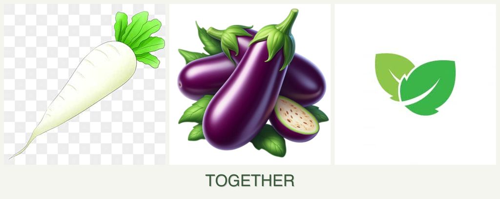 Can you plant radishes, eggplant and mint together?
