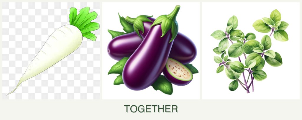 Can you plant radishes, eggplant and oregano together?