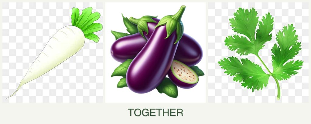 Can you plant radishes, eggplant and parsley together?