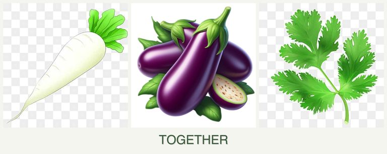 Can you plant radishes, eggplant and parsley together?