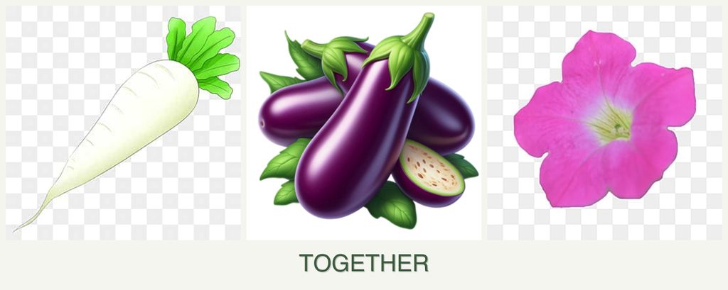Can you plant radishes, eggplant and petunias together?