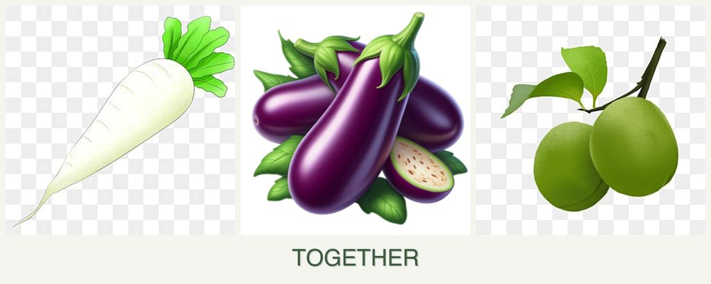 Can you plant radishes, eggplant and plums together?