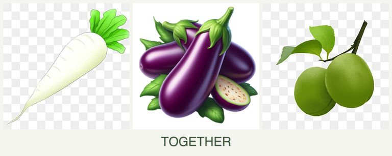 Can you plant radishes, eggplant and plums together?