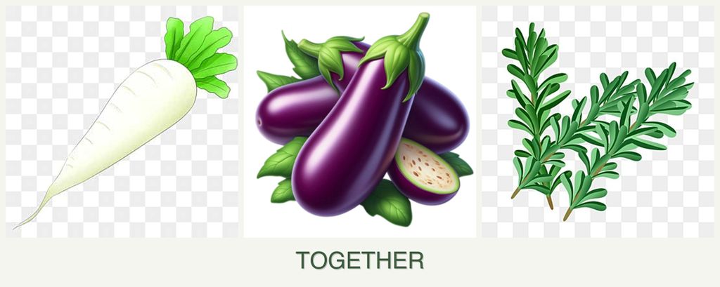 Can you plant radishes, eggplant and rosemary together?