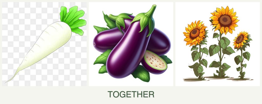 Can you plant radishes, eggplant and sunflowers together?