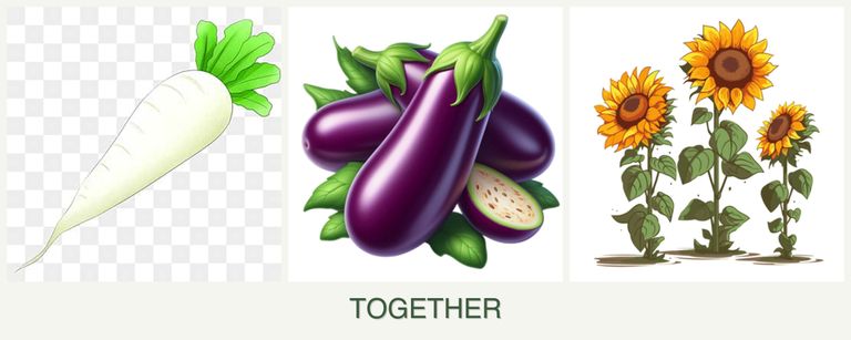 Can you plant radishes, eggplant and sunflowers together?