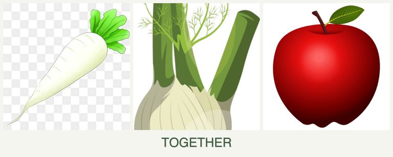 Can you plant radishes, fennel and apples together?