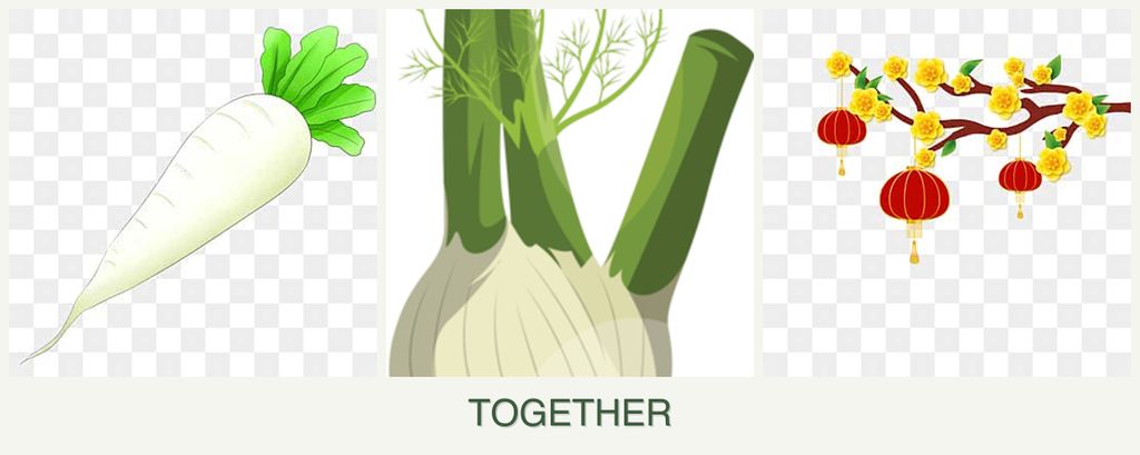 Can you plant radishes, fennel and apricots together?