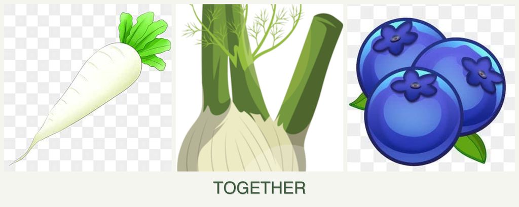Can you plant radishes, fennel and blueberries together?