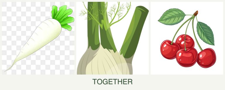 Can you plant radishes, fennel and cherries together?