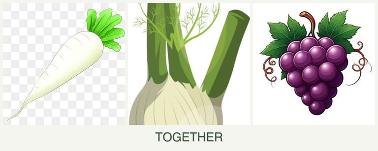 Can you plant radishes, fennel and grapes together?