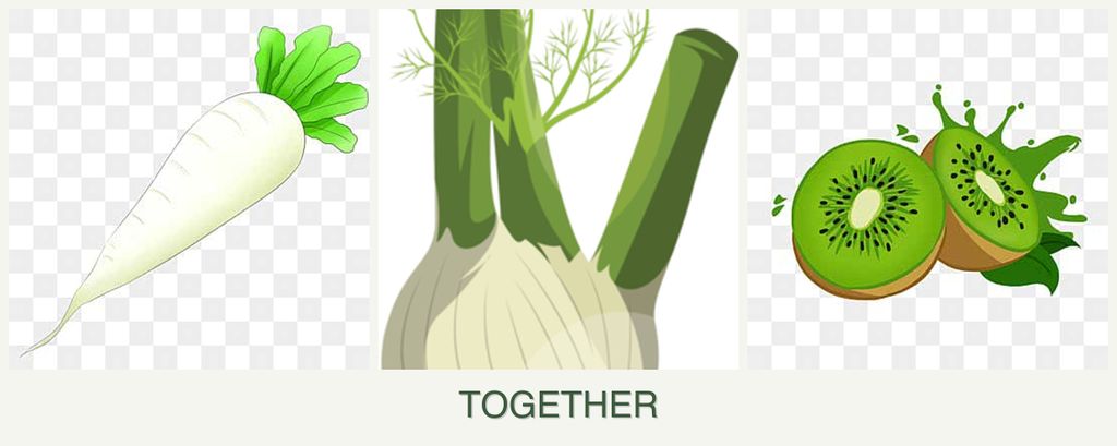 Can you plant radishes, fennel and kiwi together?