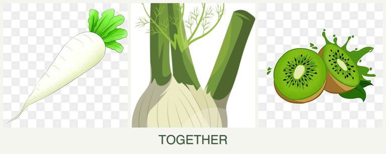 Can you plant radishes, fennel and kiwi together?