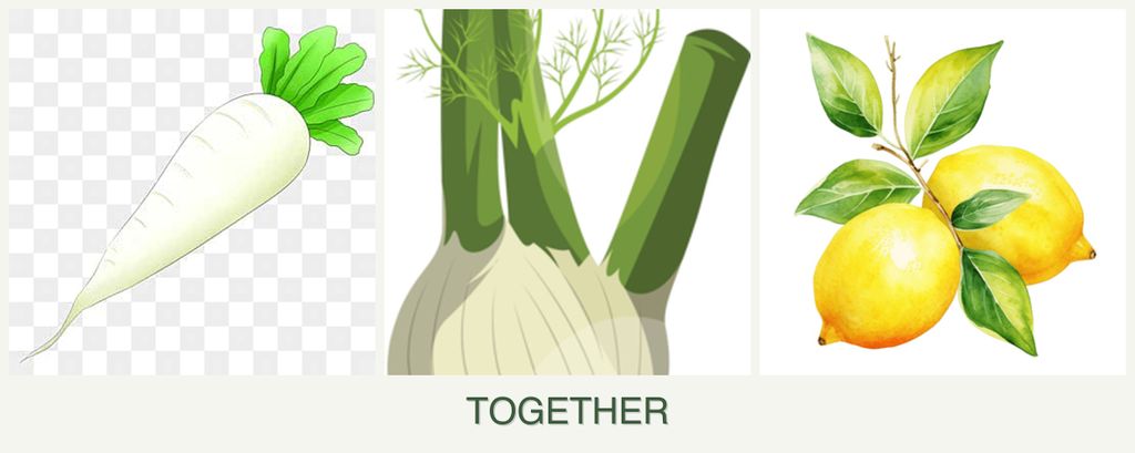 Can you plant radishes, fennel and lemons together?