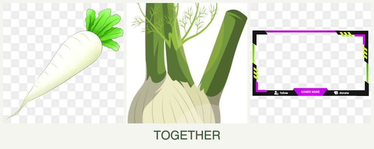 Can you plant radishes, fennel and limes together?