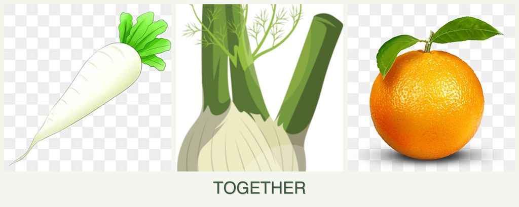 Can you plant radishes, fennel and oranges together?