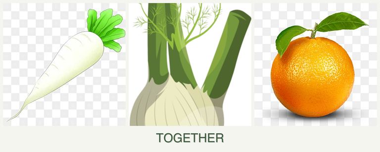 Can you plant radishes, fennel and oranges together?