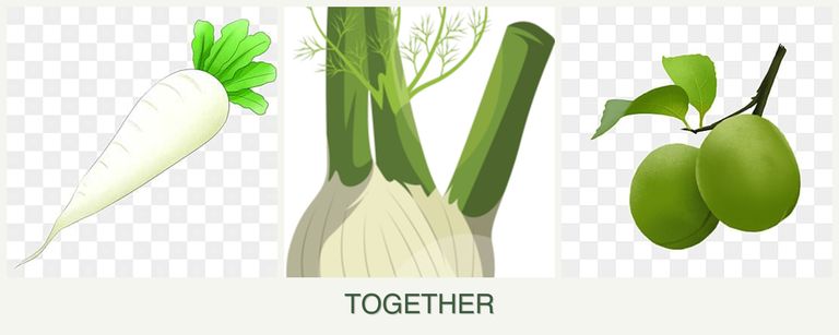 Can you plant radishes, fennel and plums together?