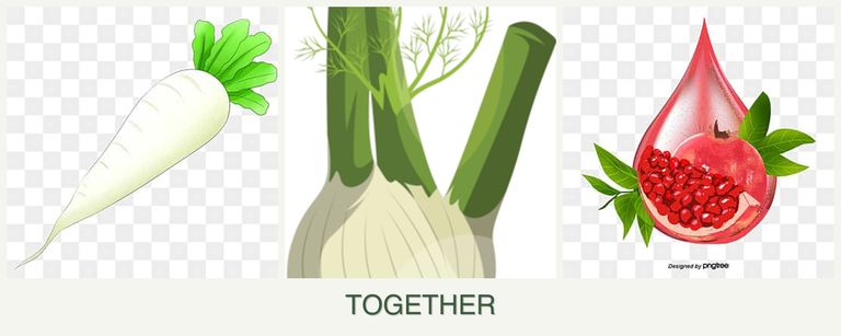 Can you plant radishes, fennel and pomegranates together?