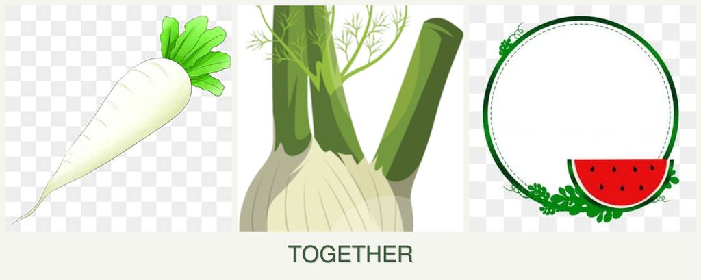 Can you plant radishes, fennel and watermelons together?