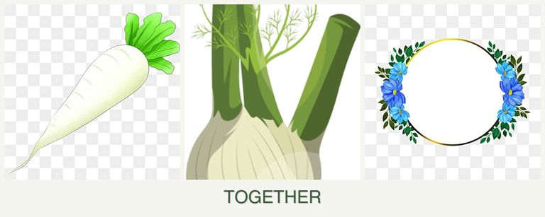 Can you plant radishes, fennel and zinnias together?