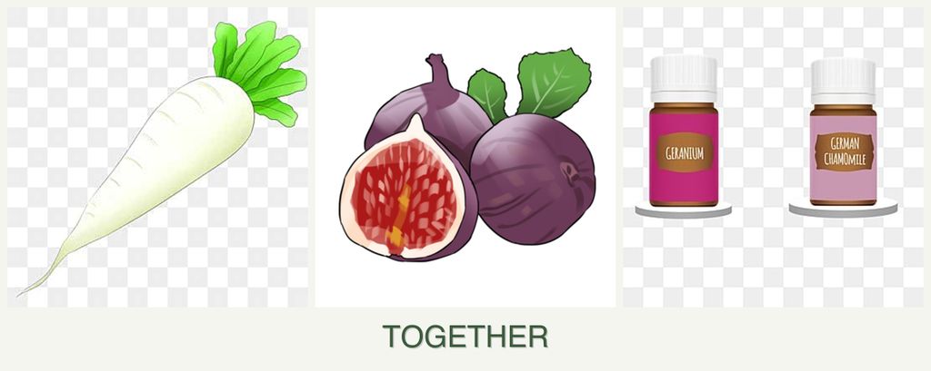 Can you plant radishes, figs and geraniums together?